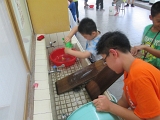 IMG_3732 (2)